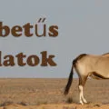 a betűs állatok
