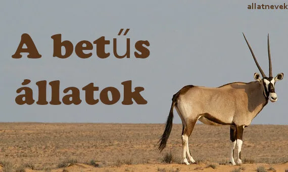 a betűs állatok