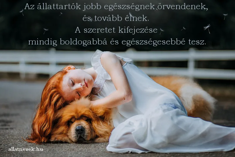 állatos idézet állattartó