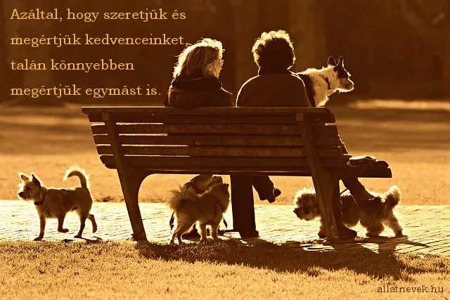 állatos idézet, megértés