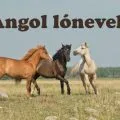angol lónevek