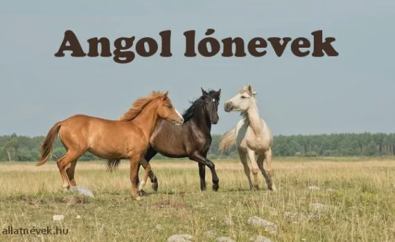 angol lónevek