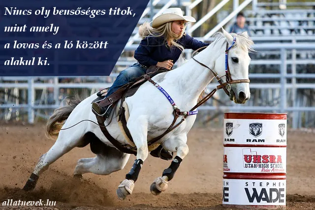 bensőséges ló lovas kapcsolat idézet