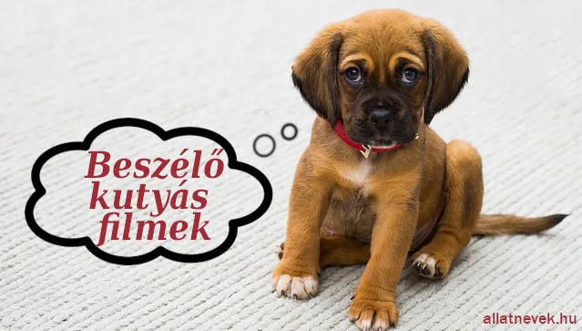 beszélő kutyás filmek