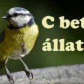 c betűs állatok