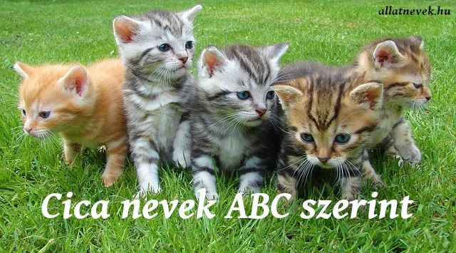 cica nevek abc szerint