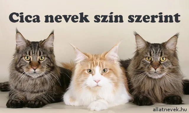 cica nevek szín szerint