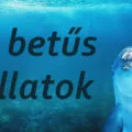 d betűs állatok