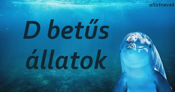 d betűs állatok
