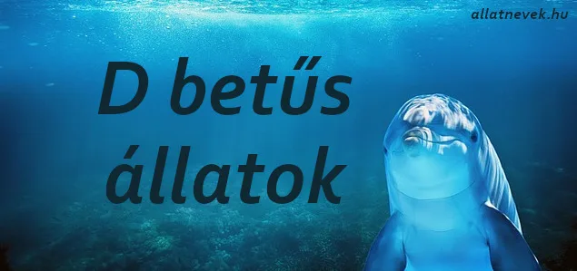 d betűs állatok
