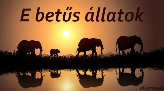 e betűs állatok