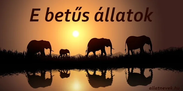 e betűs állatok