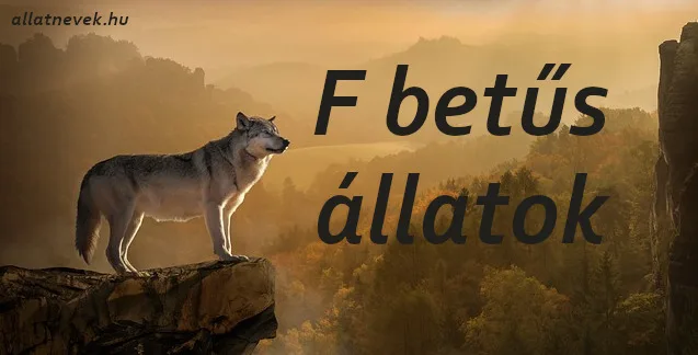 f betűs állatok