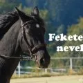 fekete ló nevek