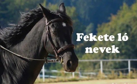 fekete ló nevek