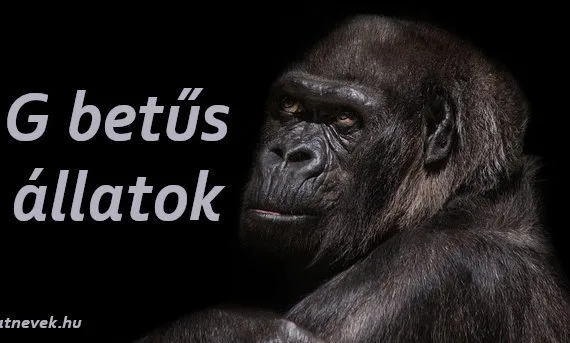g betűs állatok