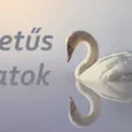 h betűs állatok