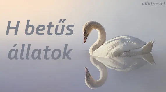 h betűs állatok