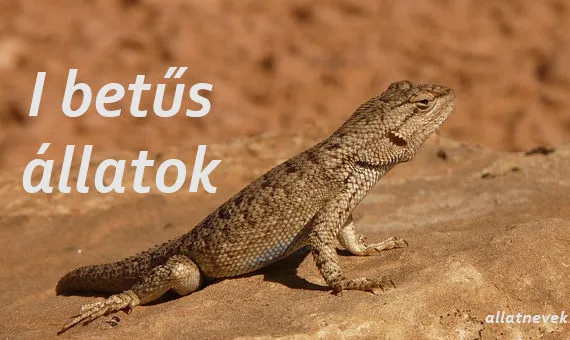 i betűs állatok