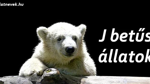 j betűs állatok