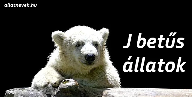 j betűs állatok