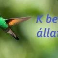 k betűs állatok