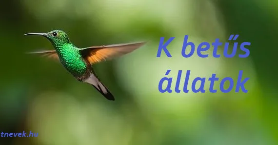 k betűs állatok