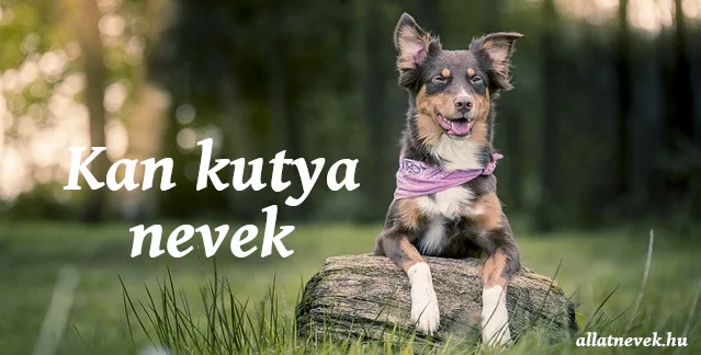 kan kutya nevek
