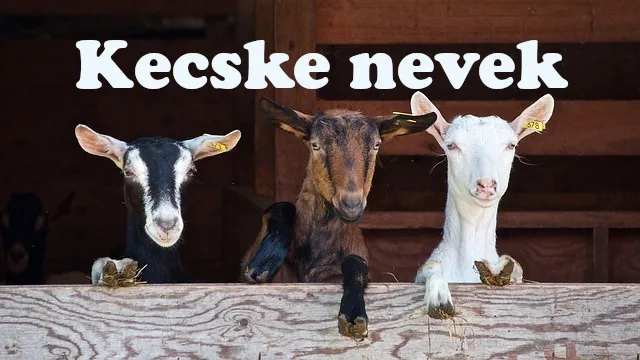 kecske nevek