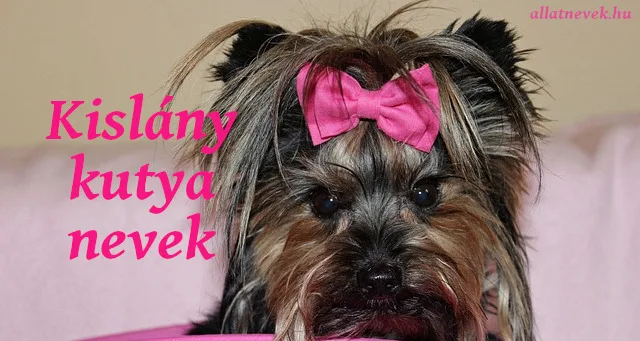 kislány kutya nevek