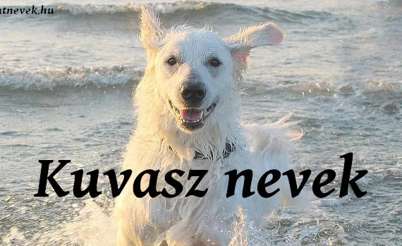 kuvasz nevek
