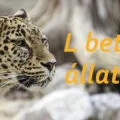 l betűs állatok