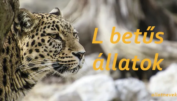 l betűs állatok