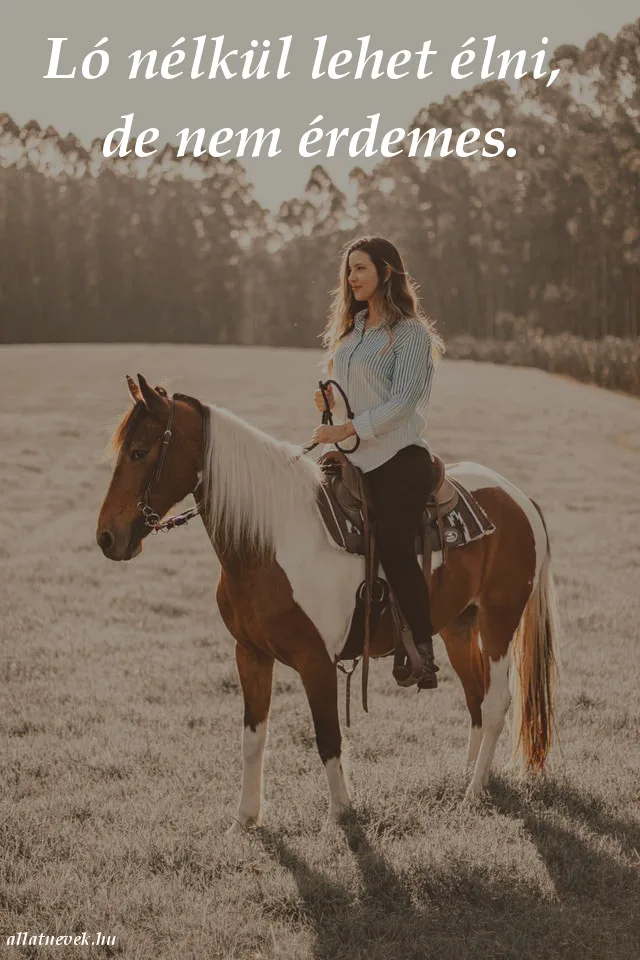 ló idézet, ló nélkül élni