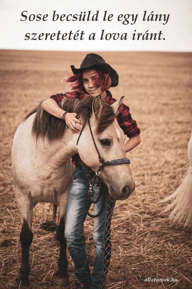 ló iránti szeretet