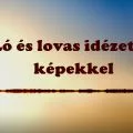 ló és lovas idézetek képekkel