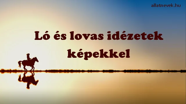 ló és lovas idézetek képekkel