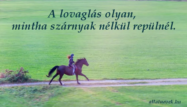 lovaglás idézet szabadságról, szárnyak nélkül repül