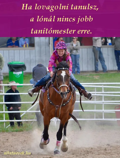 lovaglás idézet, tanítómester