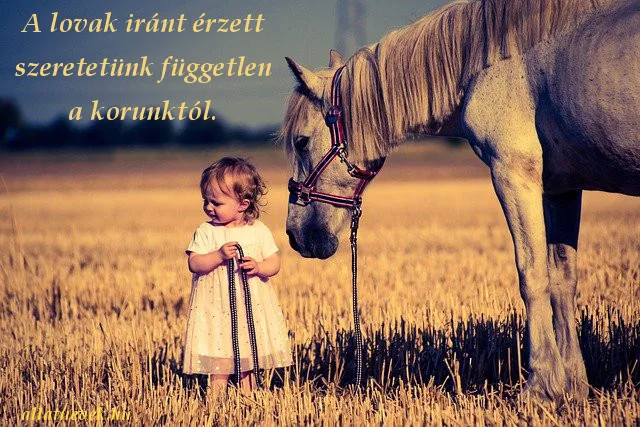 lovak iránti szeretet idézet