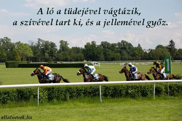 lovas idézet, jellem