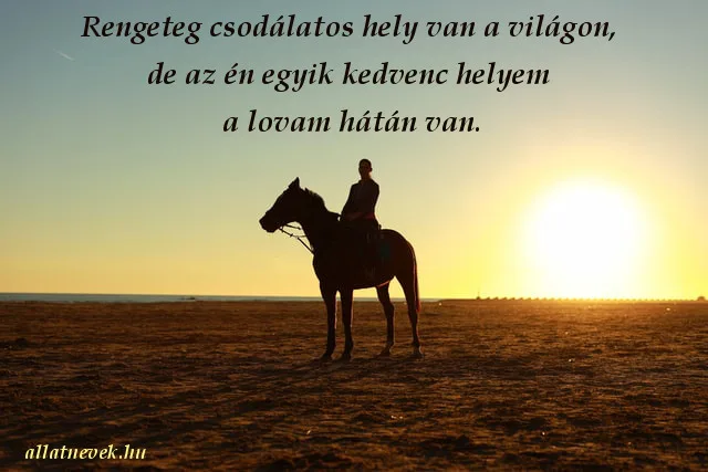 lovas idézet, kedvenc hely