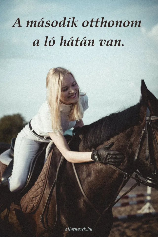 lovas idézet második otthon