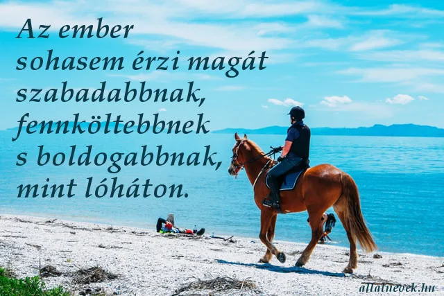 lovas idézet szabadságról, boldogság