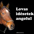 lovas idézetek angolul magyar fordítással
