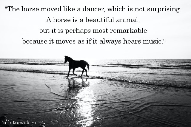 lovas idézet angolul, dancer