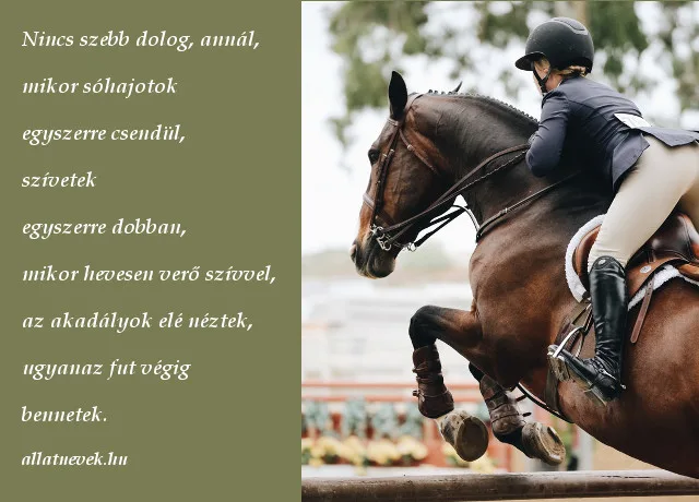 lovas ugratás idézet