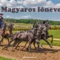 magyaros lónevek