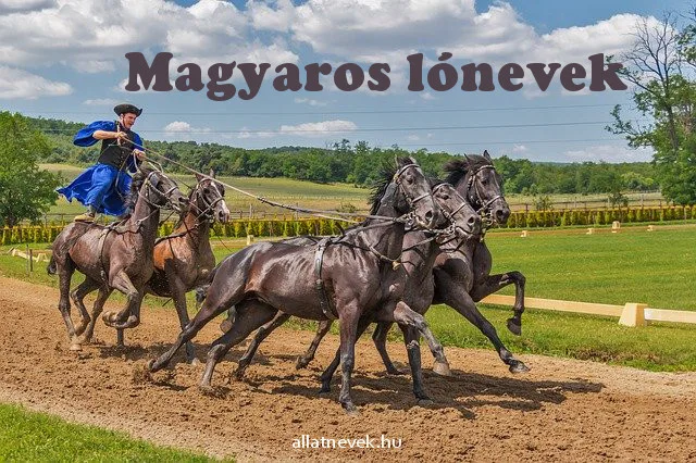 magyaros lónevek