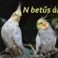 n betűs állatok